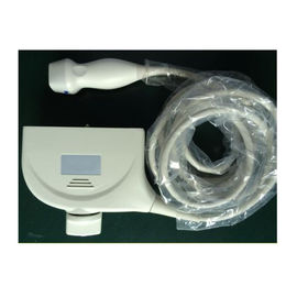 Đầu dò siêu âm Mindray DC-6 / DC-6Vet Mindray 2P2